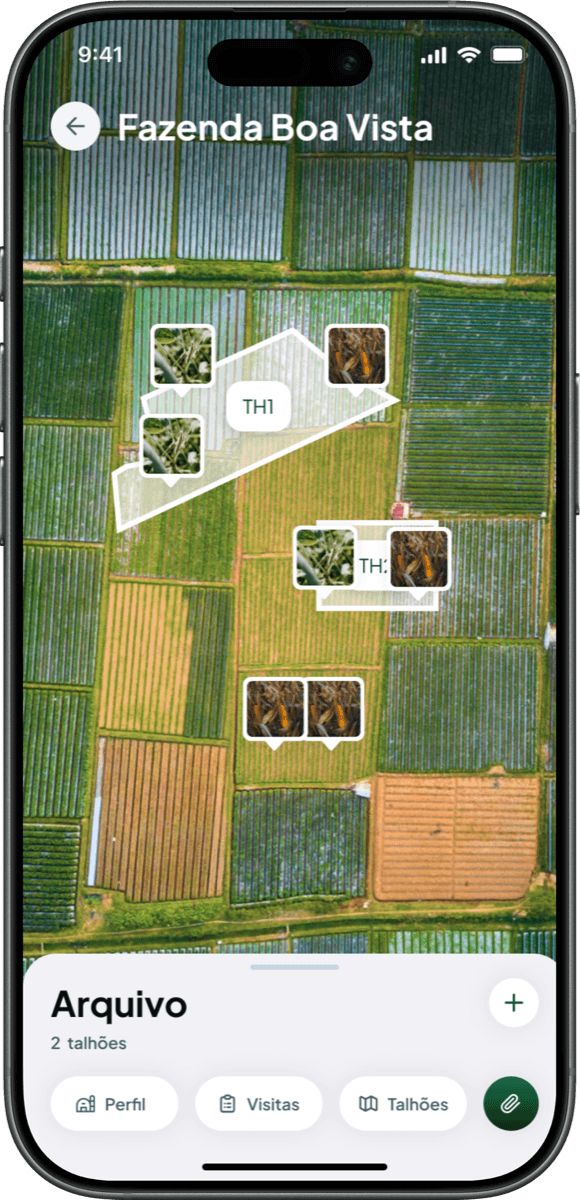Professional outputs ready to share